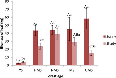 Response of leaf biomass, leaf and soil C:N:P stoichiometry characteristics to different site conditions and forest ages: a case of Pinus tabuliformis plantations in the temperate mountainous area of China